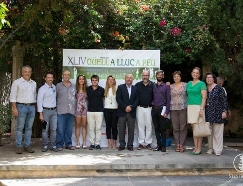 Grupo Roxa patrocinador de la XLIV edición de la popular «Marxa des Güell a Lluc a Peu»